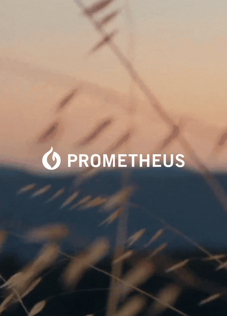 VH-Project-Thumbnails-740x1040px-740-x-1035-px